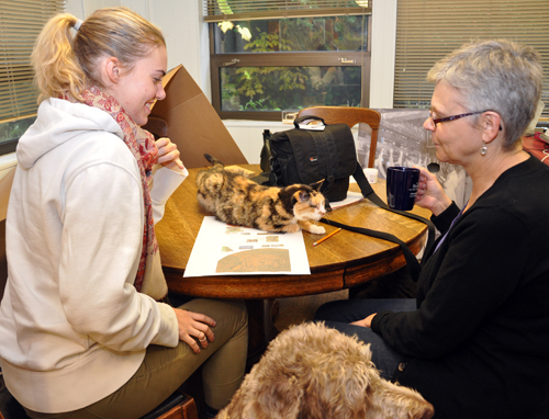 Pets help with the design process as Natalie Banaszak, left, and Sandra Lucs look on.