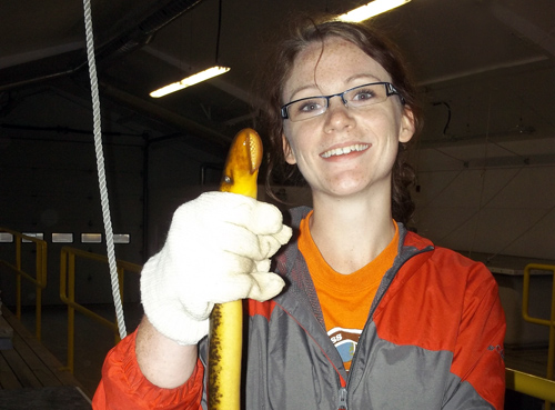 McLean holds a sea lamprey. 